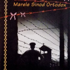 MARELE EXTERMINATOR SI MARELE SINOD ORTODOX de VIRGIL GHEORGHIU, 2008