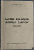 Ing. THEODOR ACHIM - CAUZELE PRABUSIREI BLOCULUI CARLTON: INVATAMINTE (1941)