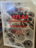 Atlas de citohistologie in patologia colului uterin - Maria Sajin