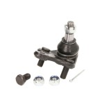 Curea de distributie ALFA ROMEO 146 (930) (1994 - 2001) RINGER 1141003176
