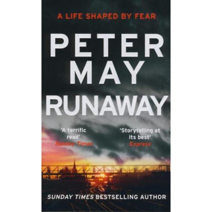 Runaway - Peter May