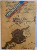 MEHEDINTI - ISTORIE SI CULTURA de ELEODOR POPESCU...MITE MANEANU , 1978