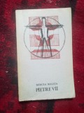 E3 Pietre vii - Mircea Malita