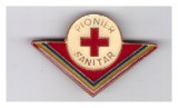 Insigna pionier sanitar, versiunea mare