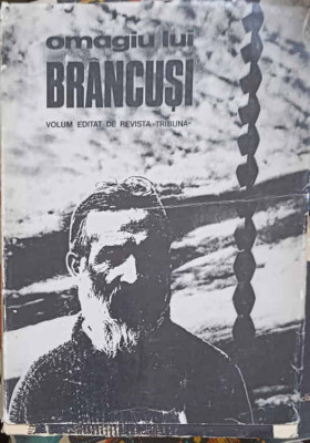 OMAGIU LUI BRANCUSI-COLECTIV-229370 foto