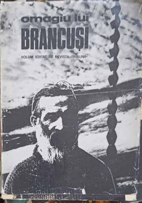 OMAGIU LUI BRANCUSI-COLECTIV foto