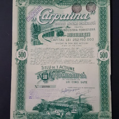 Actiune 1943 Societatea forestiera Carpatina / titlu / actiuni