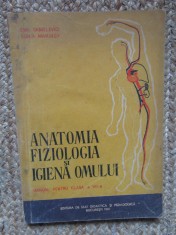 ANATOMIA SI FIZIOLOGIA OMULUI - MANUAL PENTRU CLASA A VII -A de EMIL SANIELEVICI