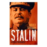 Cumpara ieftin Stalin: A Pocket Biography