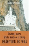 Prietenul nostru, Sfantul Vasile de la Ostrog. Izbavitorul de frica - Danion Vasile