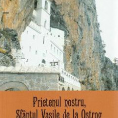 Prietenul nostru, Sfantul Vasile de la Ostrog. Izbavitorul de frica - Danion Vasile