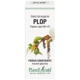 Extract Muguri Plop 50ml PlantExtrakt