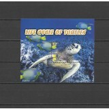 PALAU 2004 FAUNA MARINA TESTOASE