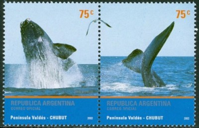 ARGENTINA 2002 BALENE foto