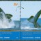 ARGENTINA 2002 BALENE