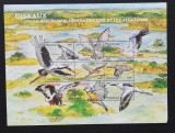 R.CENTRAFRICA -PASARI DIN AFRICA -1 M/SH.-MNH** - R CAF 167, Fauna