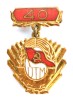 INSIGNA UTM A 40 A ANIVERSARE UTC