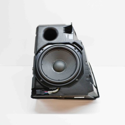 Subwoofer TESLA MODEL 3 2021 OEM: 1079746-00-D,4304-075-1476-4 foto