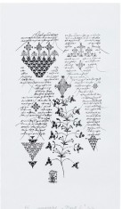&rdquo;Plante II&rdquo;, Ștefan C&acirc;lția, serigrafie, semnat olograf, mapă originală 39,5x21cm