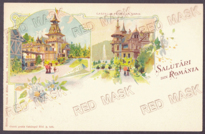 549 - SINAIA, Prahova, Litho, Romania - old postcard - unused