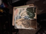 Disc vinil mirabela dauer-bine te-am gasit