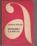 bnk ant Gheorghe Buzoianu - Pensiunea Camelia