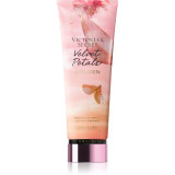 Victoria&#039;s Secret Velvet Petals Golden lapte de corp pentru femei 236 ml