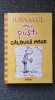 JURNALUL UNUI PUSTI. CALDURA MARE - Jeff Kinney (volumul 4)