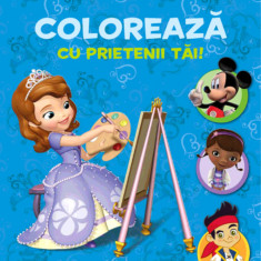 Disney. Colorează cu prietenii tăi! Aventuri în culori