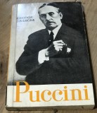 LITR2 Literatura Pucini