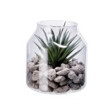 Cumpara ieftin Plante suculente artificiale in borcan III 14 x 16 cm