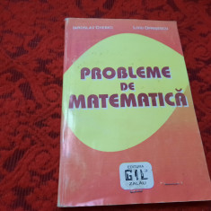 PROBLEME DE MATEMATICA PENTRU GIMNAZIU IAROSLAV CHEBICI-RF14/3