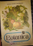 Botanica manual pentru cls a V-a- E. Sanielevici, Al. Dobija, Aglaia Ionel,1989