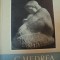 C.MEDREA- K.H. ZAMBACCIAN