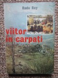 RADU REY - VIITOR IN CARPATI