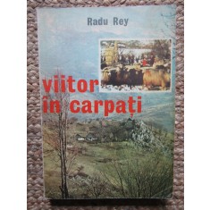 RADU REY - VIITOR IN CARPATI