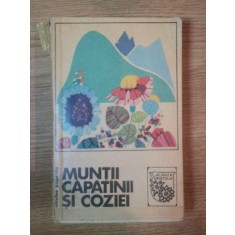 MUNTII CAPATANII SI COZIEI de NICOLAE POPESCU , 1968