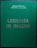 SEMICENTENARUL MISCARII LEGIONARE: LEGIUNEA IN IMAGINI/ALBUMELE TRAIAN BOROBARU/ED. MISCARII LEGIONARE MADRID 1977[352 p. format mare/pref.HORIA SIMA]