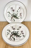 Farfurie - compartimentata / fondue - Villeroy and Boch - Botanica - 3 persoane