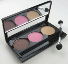 FARD DE PLEOAPE TRIO MANHATTAN BLOGGERS CHOICE EYESHADOW DOWNTOWN TO EARTH 3 foto