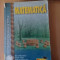 Manual matematica, Clasa a VIII-a, Editura Teora, Anul 2000