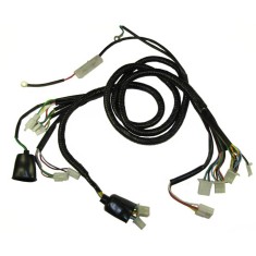 Instalatie Electrica Scuter 4T R12