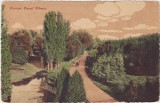 CP Craiova Parcul Bibescu ND, Circulata, Fotografie
