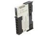 AUTONICS Modul Intrare Analogica 24V DC IP20 2 Intrari 0-10V Seria ARIO