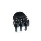 Cleste negru mic