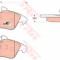 Set placute frana,frana disc VW LT II bus (2DB, 2DE, 2DK) (1996 - 2006) TRW GDB1220