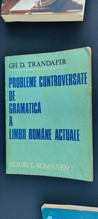 PROBLEME CONTROVERSATE DE GRAMATICA A LIMBII ROMANE - TRANDAFIR - 1982