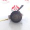 Compresor clima Smart Fortwo W451