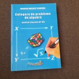 Gheorghe Adalbert Schneider - Culegere de probleme de algebra pentru clasele IX-XII 2020