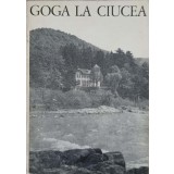 GOGA LA CIUCEA-COLECTIV-238679